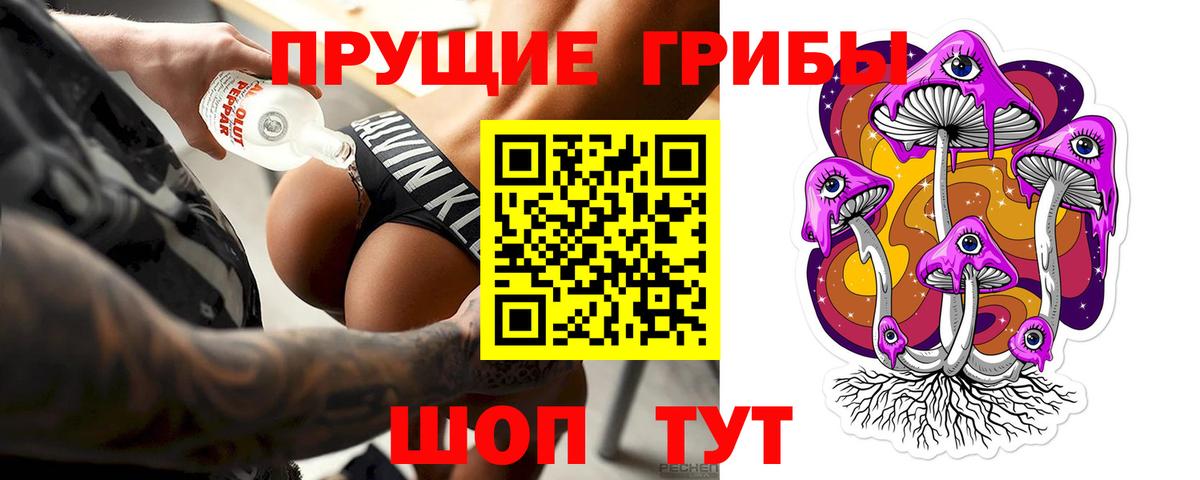 Псилоцибиновые грибы GOLDEN TEACHER  Вход с VPN  Псилоцибиновые грибы Cubensis  Богданович 